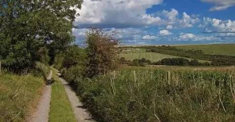 土壤環(huán)境污染治理的國(guó)際經(jīng)驗(yàn)與防治服務(wù)體系建設(shè)